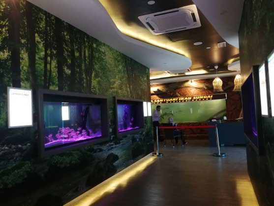Aquarium gallery with forest-themed walls