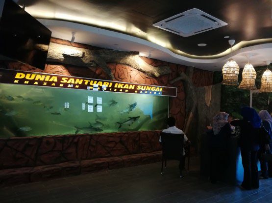 Large river fish tank